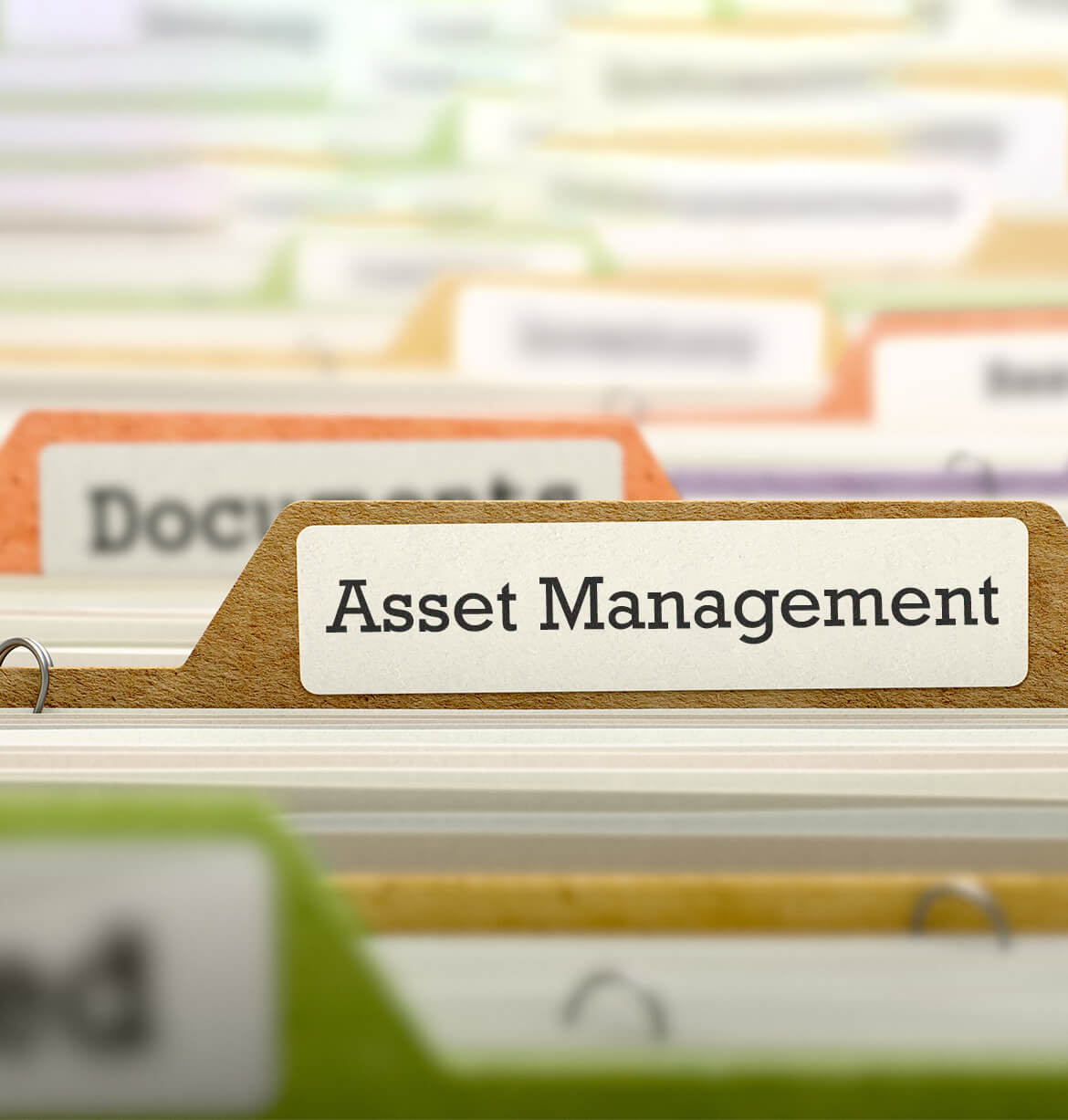 Asset Management