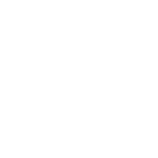 Zoho Consultation