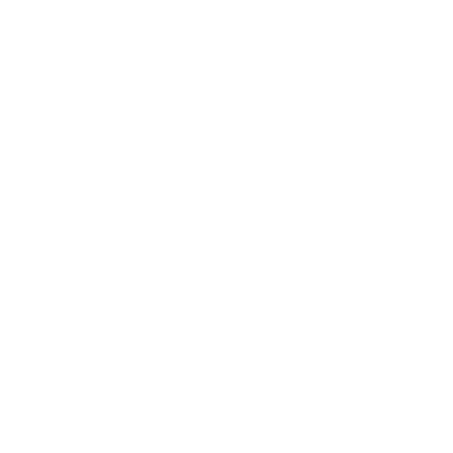 Zoho Support & Maintenance